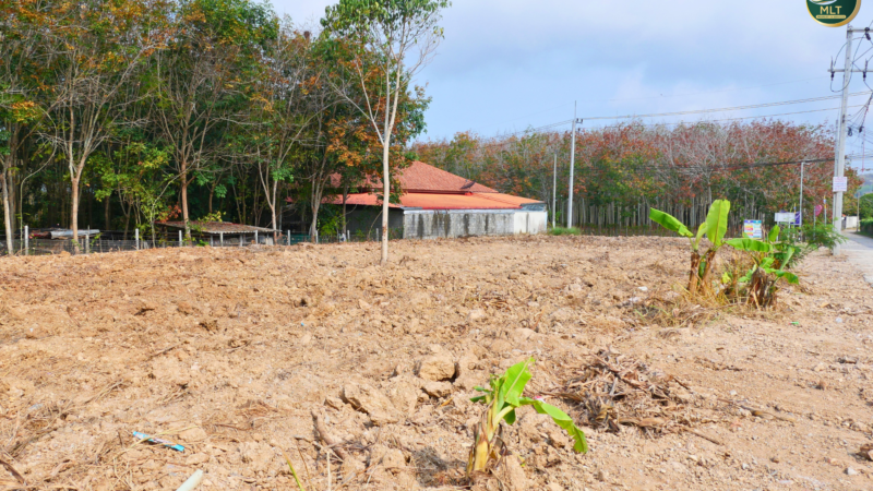 Land for sale (Sattahip)