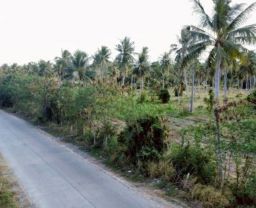 High Potential Land for Sale Road 331