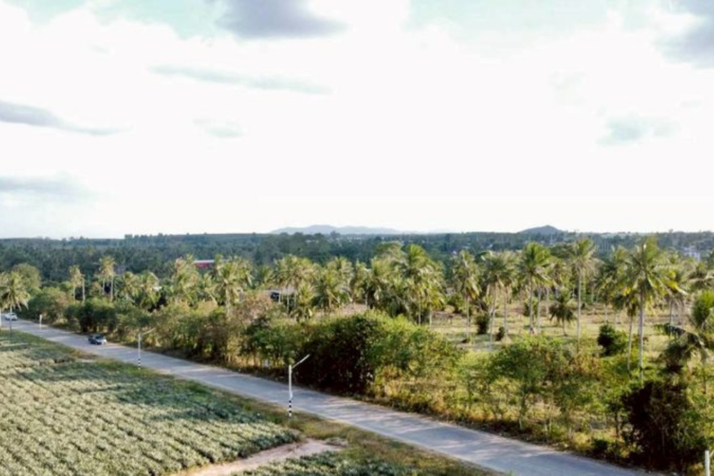 High Potential Land for Sale Road 331