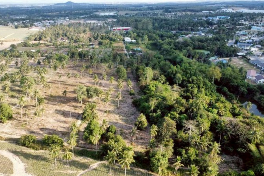 High Potential Land for Sale Road 331