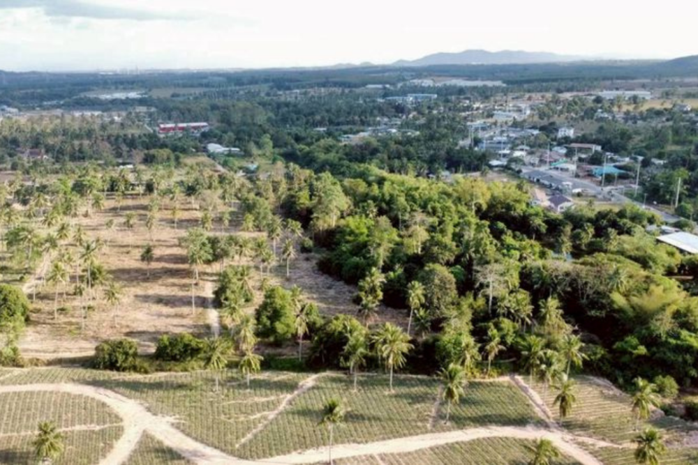 High Potential Land for Sale Road 331