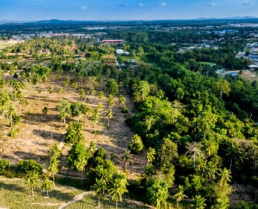 Land for sale near Highway 331