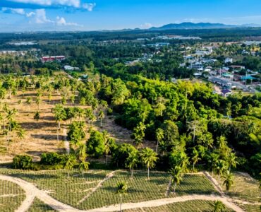 Land for sale near Highway 331