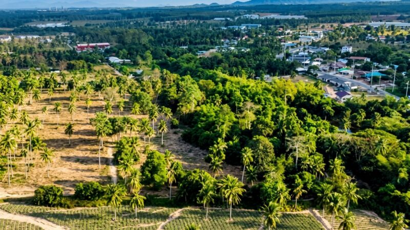 Land for sale near Highway 331