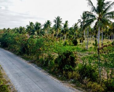 Land for sale near Highway 331