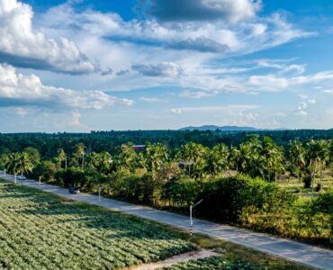 Land for sale near Highway 331