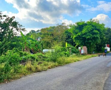 Sea & Mountain View Land for Sale Sattahip