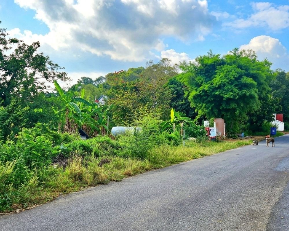 Sea & Mountain View Land for Sale Sattahip
