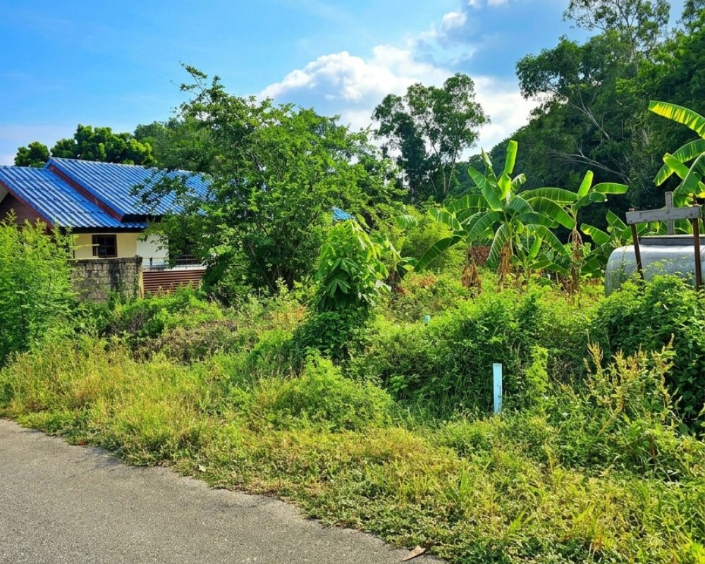 Sea & Mountain View Land for Sale Sattahip
