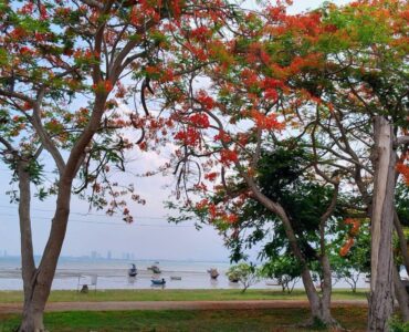 bang-saray-beach