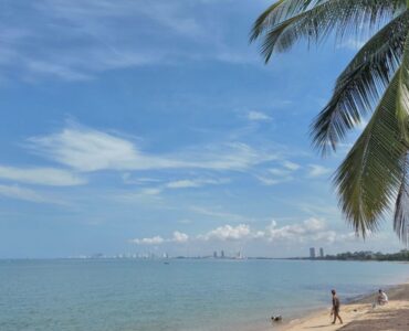 Bang Saray AD Condo Rent-Studio Garden (เช่าเอดีคอนโด)